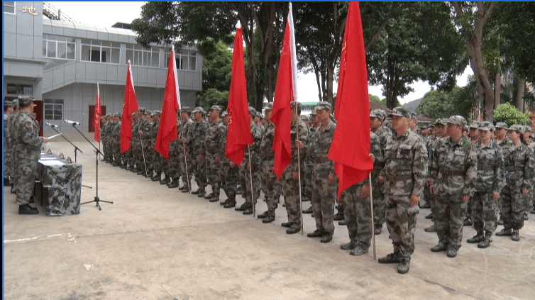 縣武裝部改革最新消息，邁向現(xiàn)代化軍事建設(shè)的步伐堅(jiān)定前行