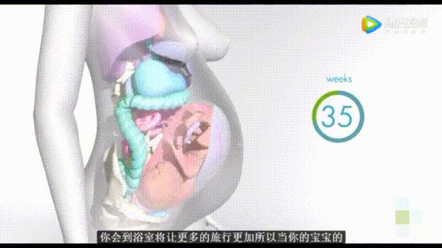 全面解讀三胎政策最新消息新聞