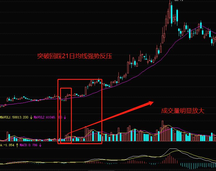 新三板最新消息新聞，市場趨勢與前景展望