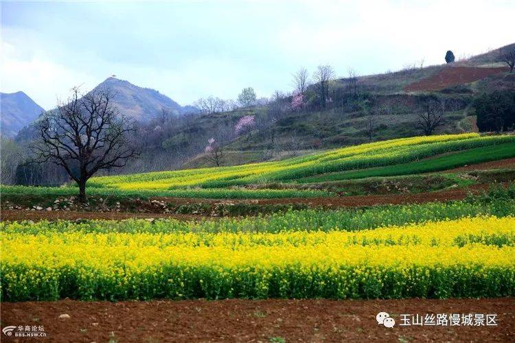 藍(lán)田縣玉山鎮(zhèn)最新消息概覽