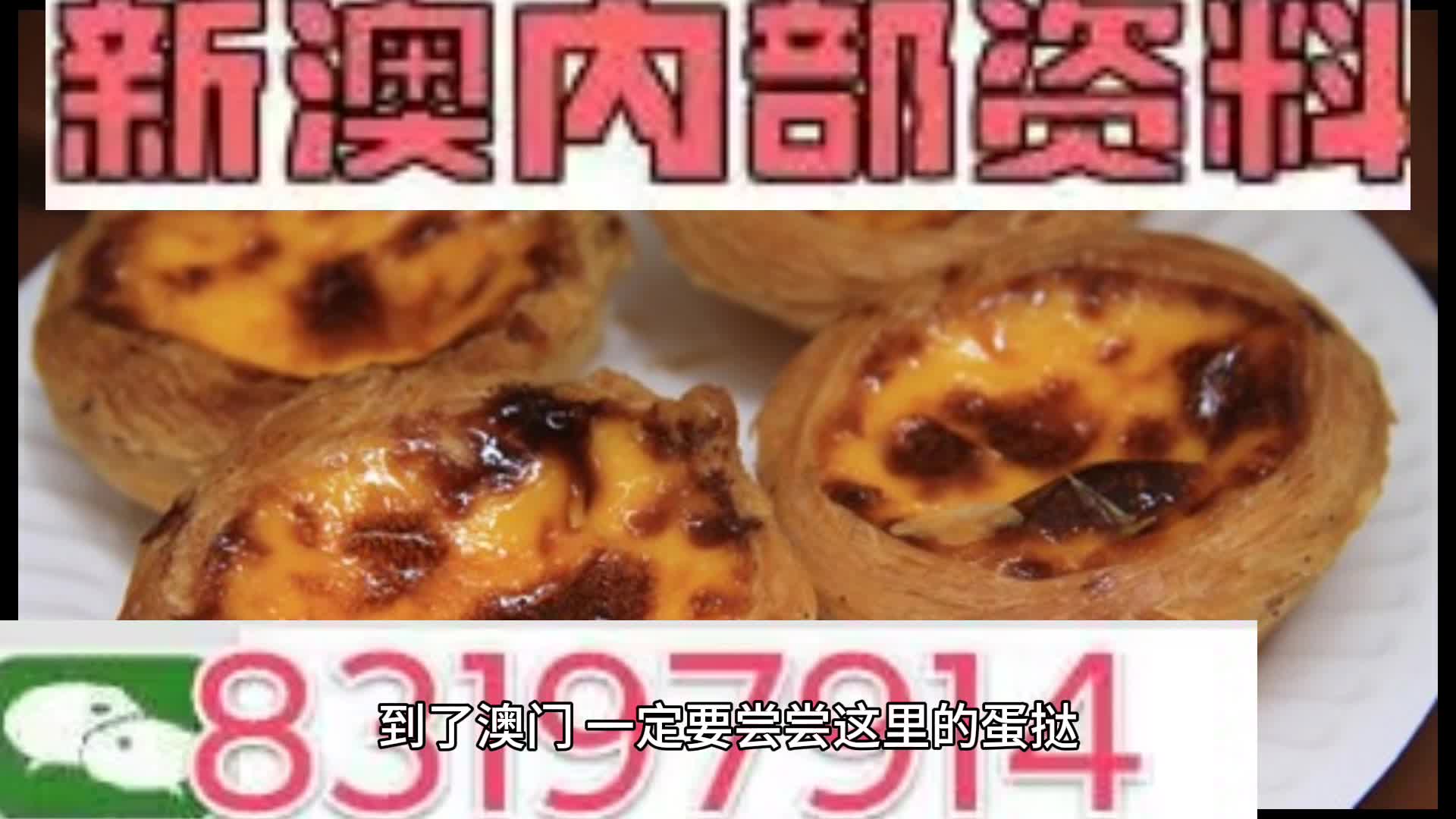 新奧2024年免費資料大全詳解