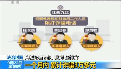 精準一肖一碼一子一中，揭示背后的犯罪問題