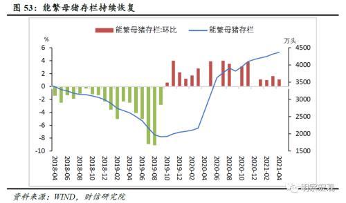 北京油價調(diào)整最新消息，市場趨勢、影響因素及未來展望