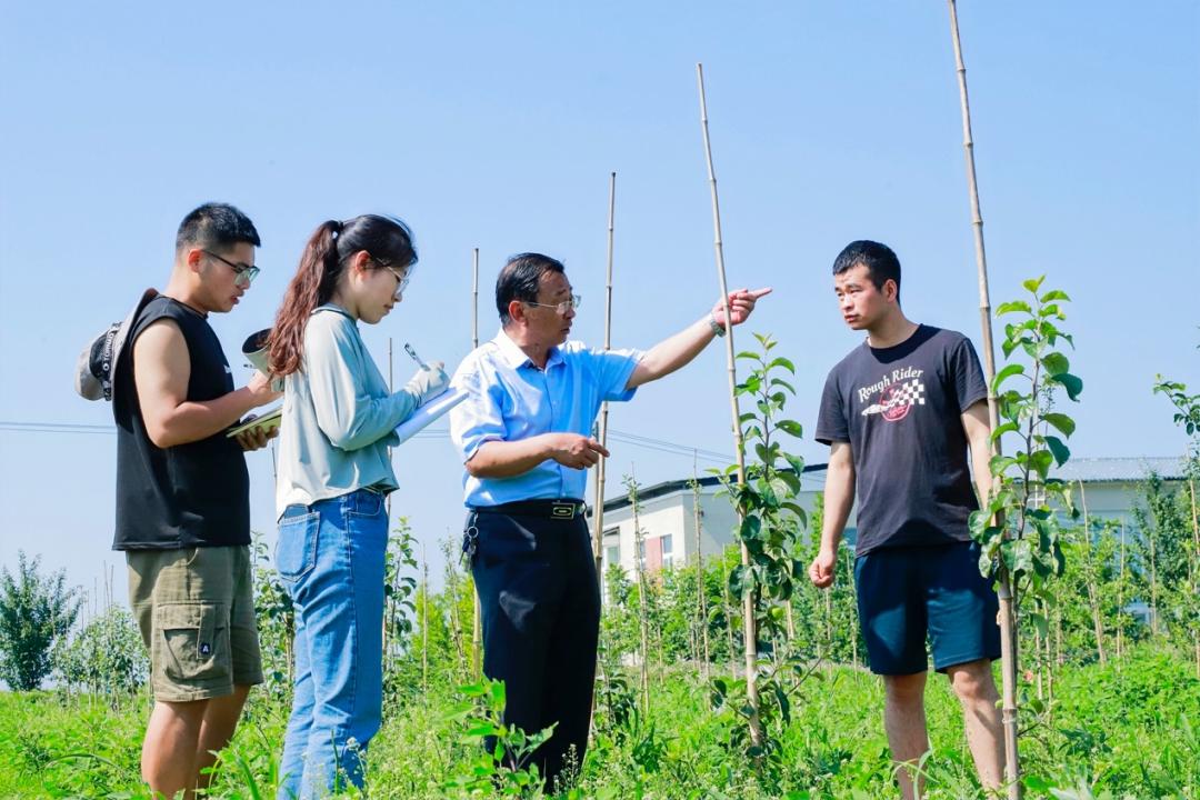 蘋果手機最新消息，引領科技潮流的新動態(tài)