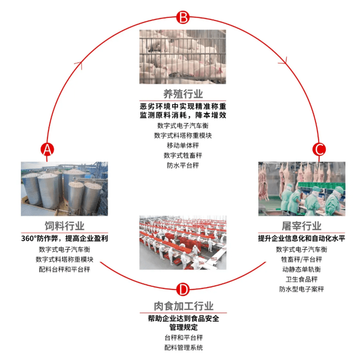 黃鱔養(yǎng)殖最新技術(shù)，提升產(chǎn)量與品質(zhì)的革新策略