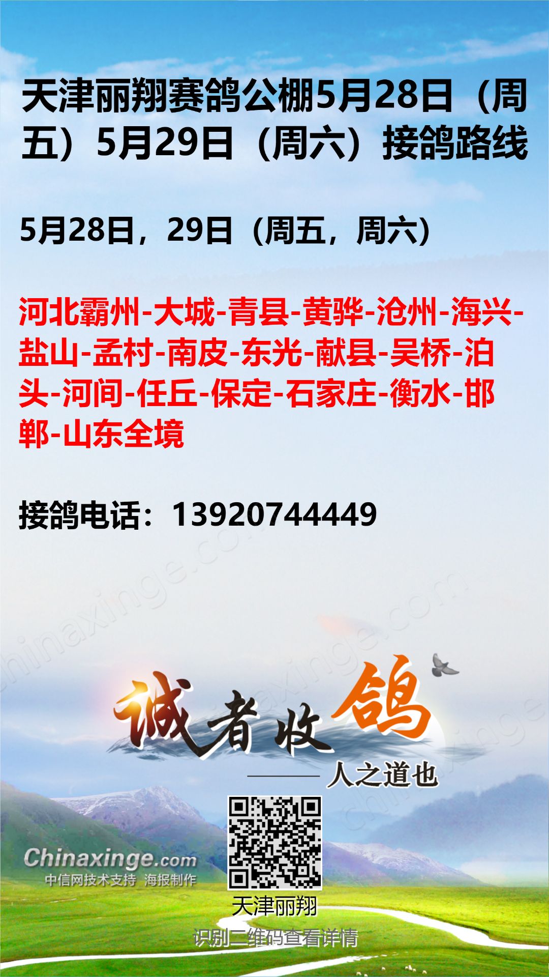 天津麗翔公棚最新公告詳解