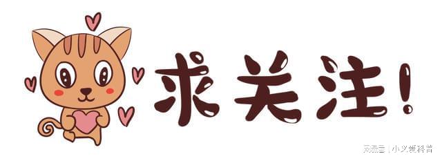 探索管家婆最準(zhǔn)一碼一肖，揭秘背后的秘密與真相